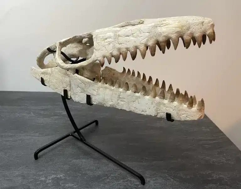 Kontakt-Ausschluss-Marokko